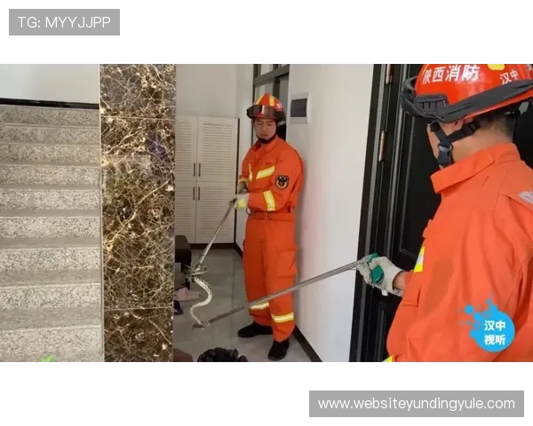 云顶赌场app账号注册流程与安全保障措施详解