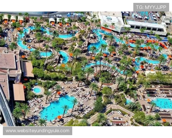 美高梅娱乐场：不断创新的游戏内容带来新鲜刺激的娱乐体验