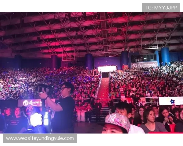 马来西亚云顶演唱会购票渠道比较，官方渠道与第三方平台优缺点详解